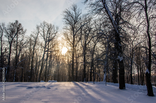 Winter Park on a Sunny day. Frosty the snow Park. Winter picture. Sunny day.