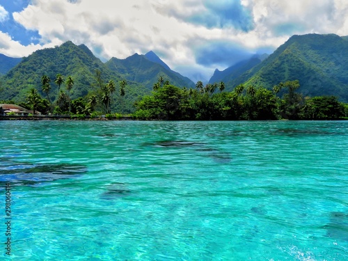 Fototapeta exploring tropical island of tahiti