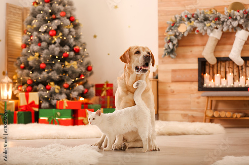 Canvas Print Adorable dog and cat together at room decorated for Christmas