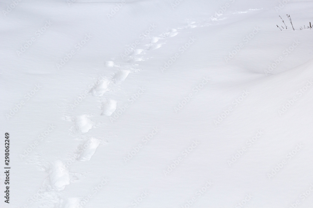 Human footprints in white snow in winter. Human footprints in white snow in winter.