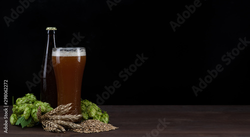 Craft beer with fresh green of hops and wheat and malt on dark wooden table. Empty space for text. Black background