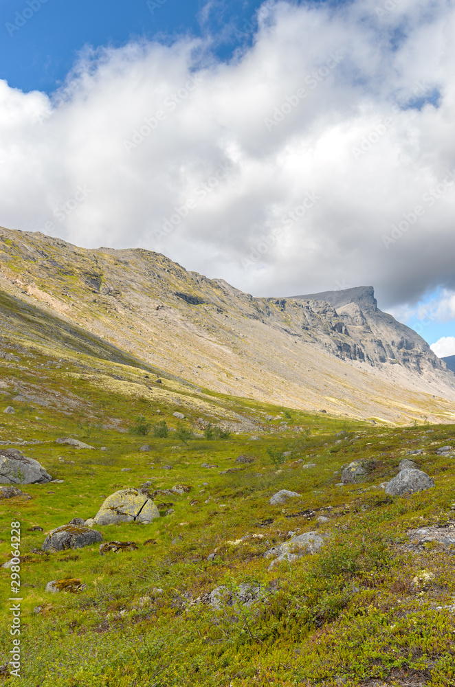 Mountain tundra with mosses and rocks covered with lichens, Hibiny mountains above the Arctic circle, Kola peninsula, Murmansk region, Russia