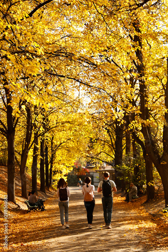 People walking in park with fallen leaves. Autumn season © New Africa