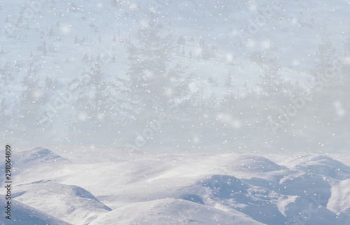 Winter background, falling snow over winter landscape © Shcherbyna
