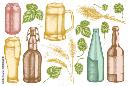 Vector set of hand drawn pastel rye, hop, mug of beer, bottles of beer, aluminum can