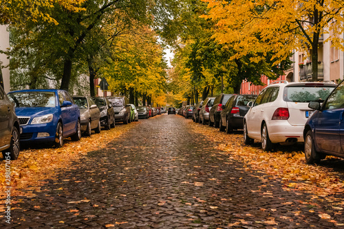 Sticker Wet road with leaves, road with wet autumn leaves