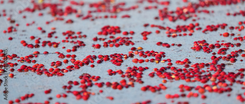 Cranberries floating on the water