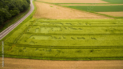 Crop damage in a field, aerial view