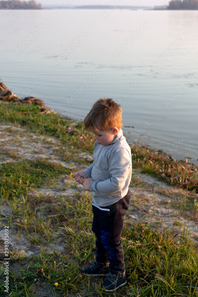 Little boy child on the grass near the river collects yellow dandelions, flowers Little boy child on the grass near the river collects yellow dandelions, flowers