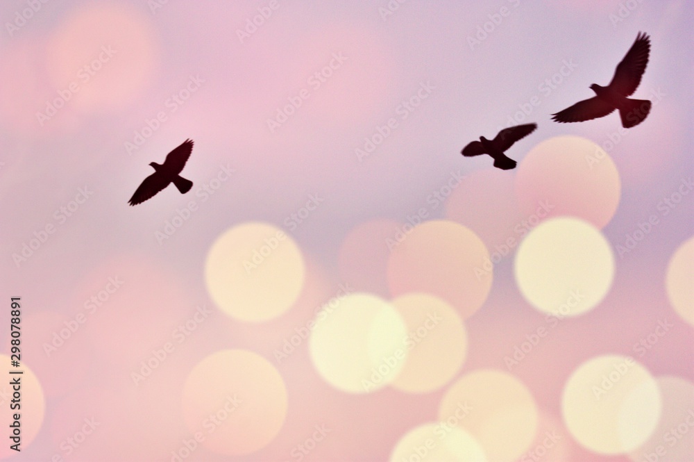 Fototapeta premium Pink bokeh sky with the shadow of three birds