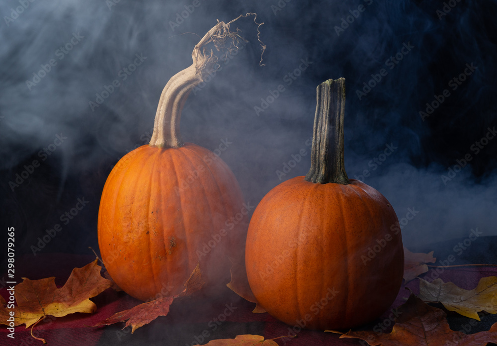 Two pumpkins on a blanket in the fog Two pumpkins on a blanket in the fog