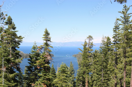 lake tahoe and pine tree in mountains