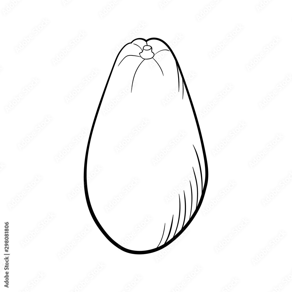 Hand drawn avocado .sketch for print. isolated on white background. Hand drawn avocado .sketch for print. isolated on white background.