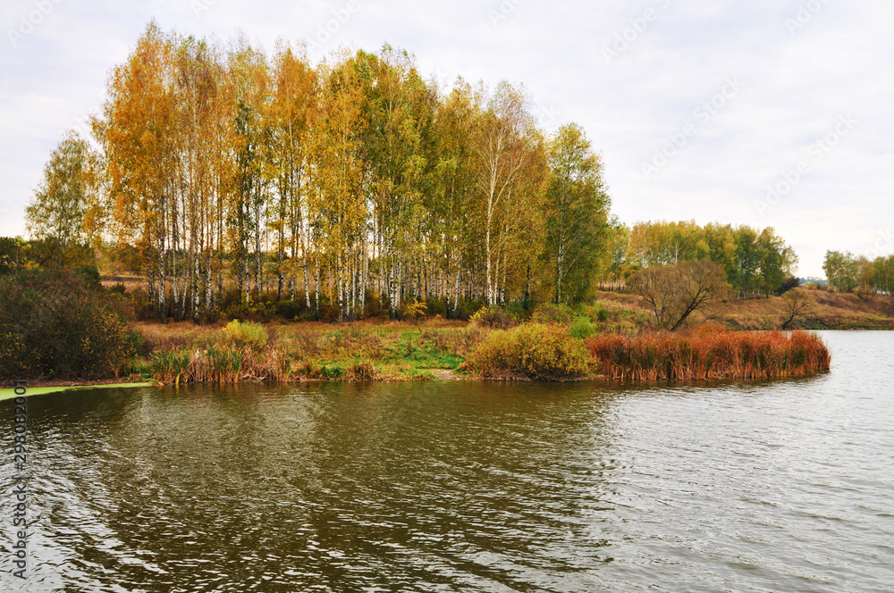 Beautiful autumn landscape yellow grass leaves Beautiful autumn landscape yellow grass leaves