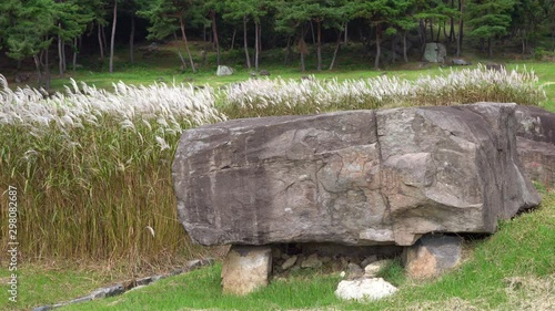 Dolmen of go-board type and flowers in the wind  in Gochang dolmens site in Gochang South Korea photo