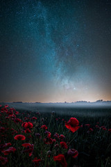Poster Zwart Klaprozen onder sterrenhemel  © Latvianphotographer