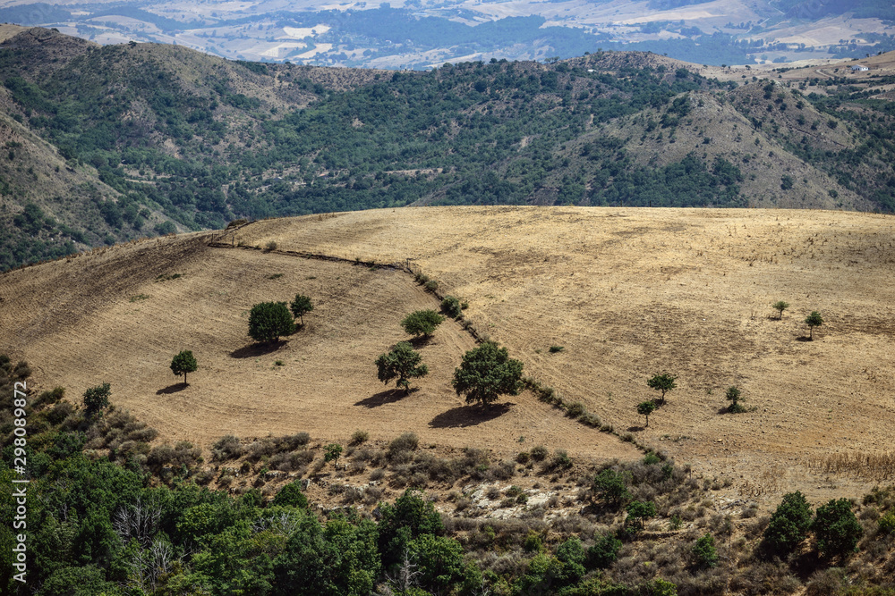 Fototapeta premium Sicily countryside