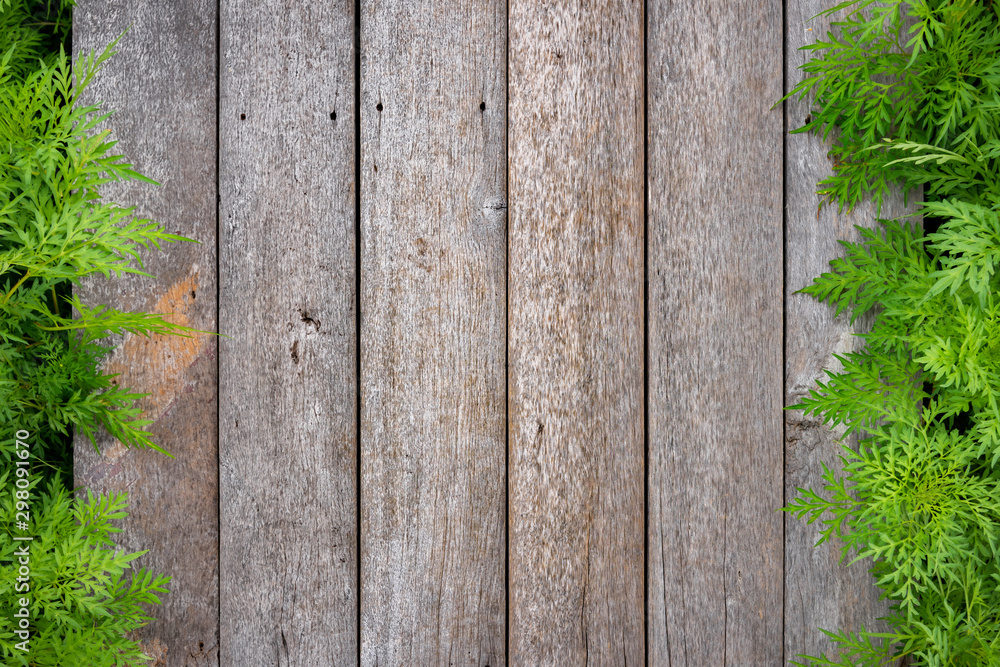 Top view of wooden texture with nature green leaves frame background. Top view of wooden texture with nature green leaves frame background.