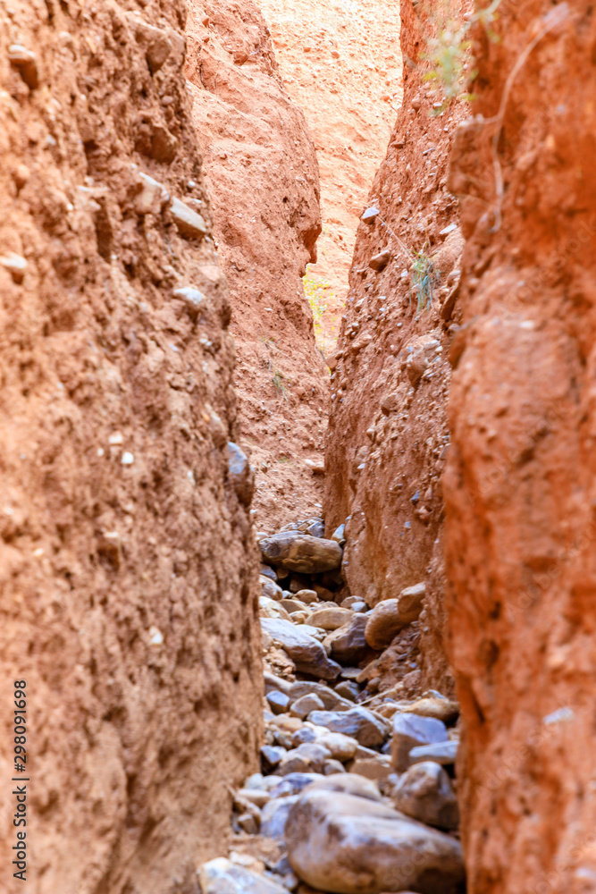 Fototapeta premium Valley eroded by rain and wind forming ravines in the red clay called Las Carcavas in Madrid