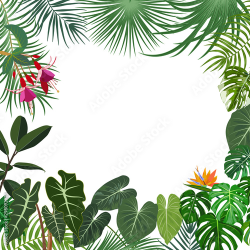 Vector tropical jungle banner  frame with palm trees  flowers and leaves on white background