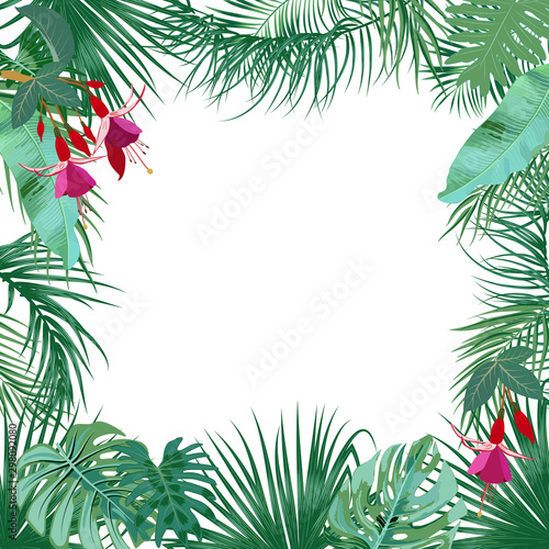 Vector tropical jungle banner  frame with palm trees  flowers and leaves on white background