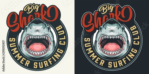 Vintage surfing club colorful round print