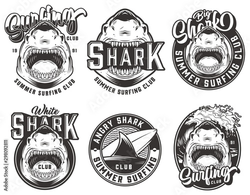 Photography Vintage summer surfing club labels set