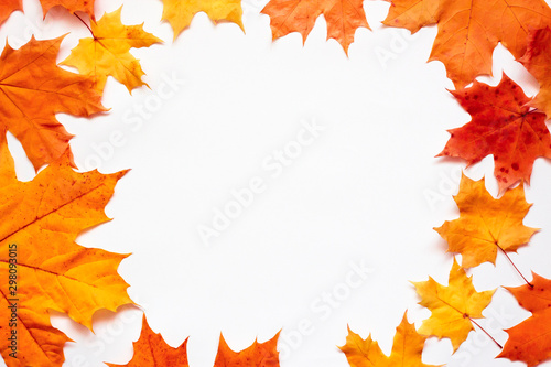 Frame of orange autumn leaves on white. Flat lay, top view, place for text.