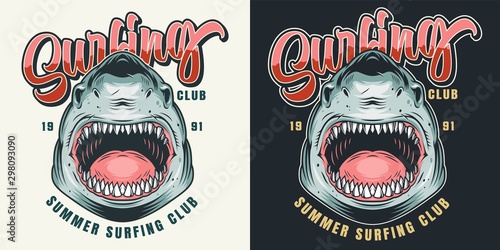Canvas Print Colorful surfing club print