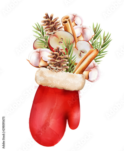 Christmas glove with half apple, conifer cone, cotton, cinnamon sticks and fi...