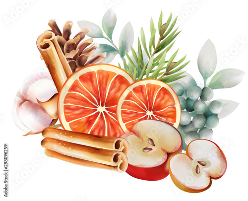 Watercolor christmas ornaments with orange slices, cinnamon sticks, half apples, green leaves, pine tree leaves and cotton. Vector