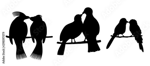 love birds