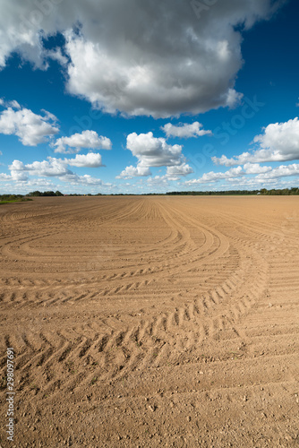 landscape with field and blue sky