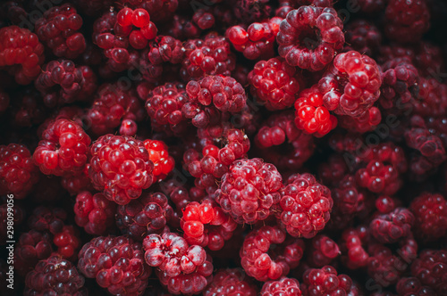 Obraz na plátně Raspberry fresh berry eco friendly background
