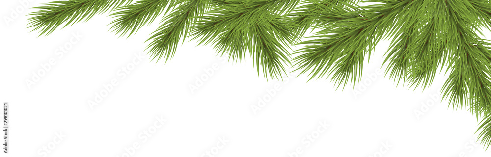 fir branch upper right corner