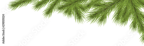 fir branch upper right corner