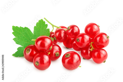 Red currant berries with leaf isolated on white background