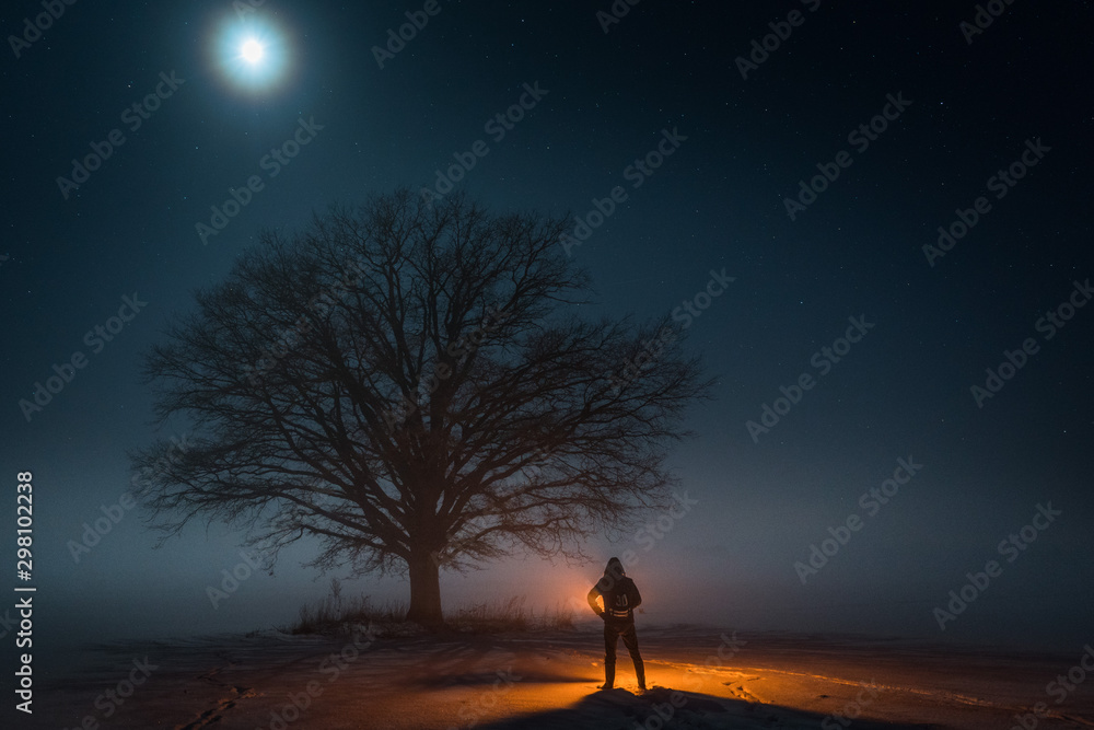 fire tree at cold winter night
