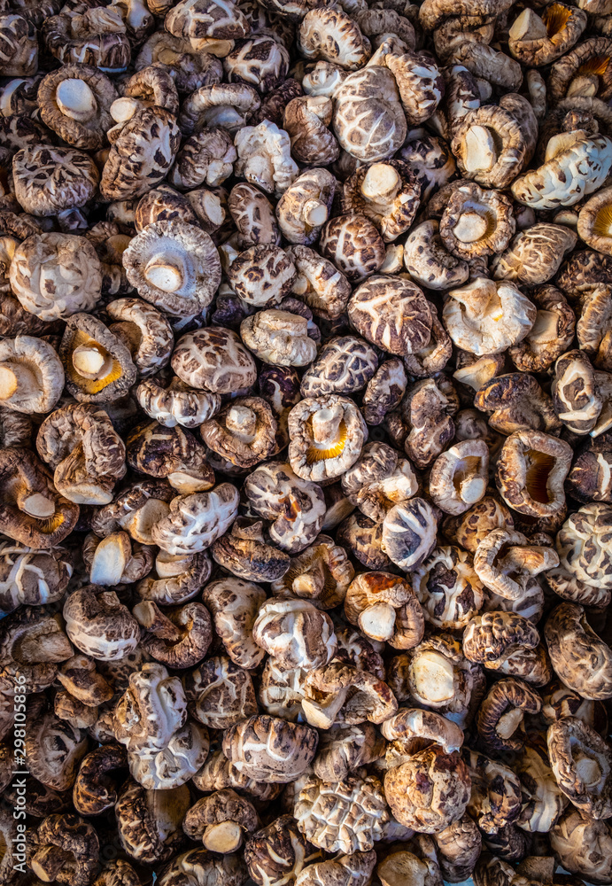 Chinese mushrooms Chinese mushrooms