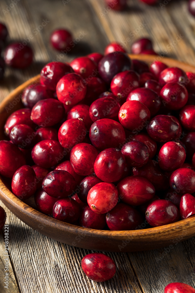 Raw Red Organic Cranberries Raw Red Organic Cranberries