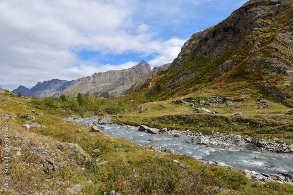 Il torrente scende veloce nella vallata alpina