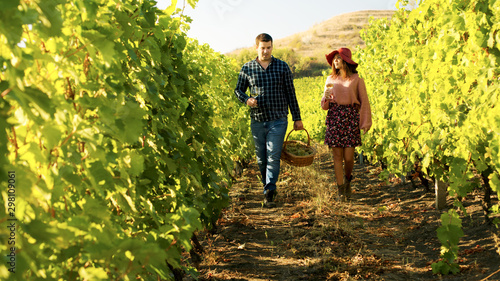 Couple walking in a vineyard with glasses of wine in hands