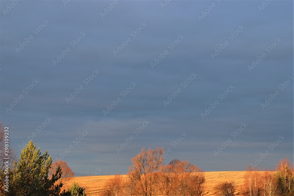 Fototapeta premium Beautiful autumn landscape: a golden cleaned field and a high gray-blue sky.