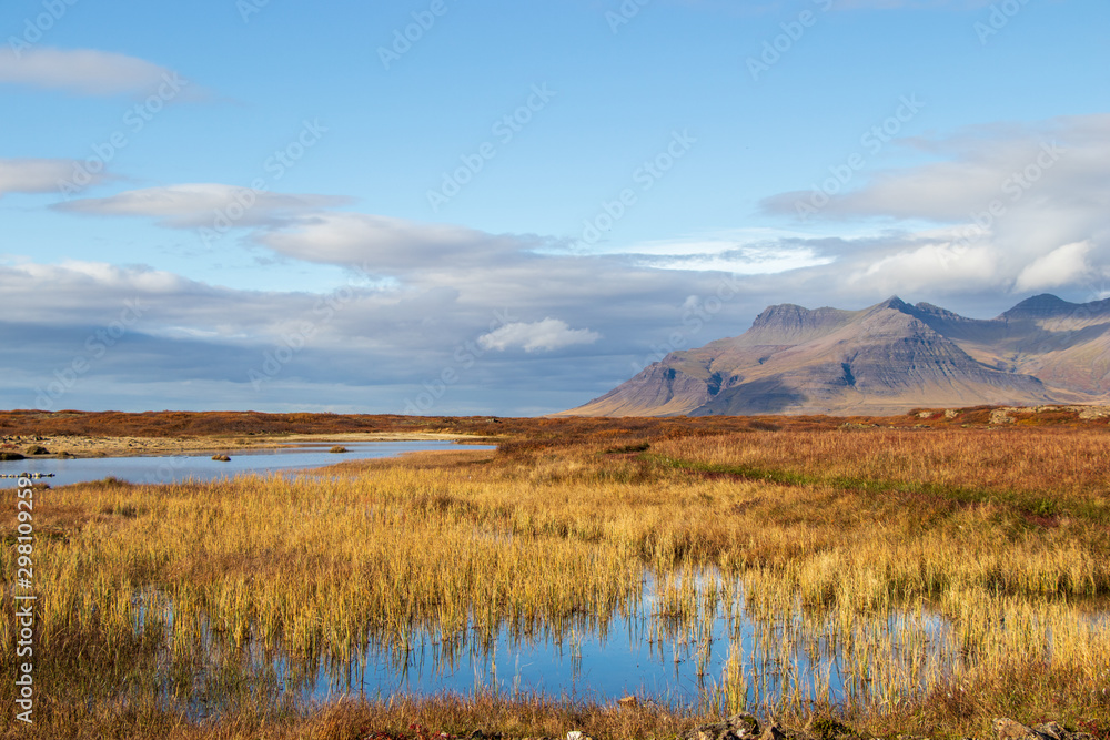 beautiful grassy landscape in Iceland