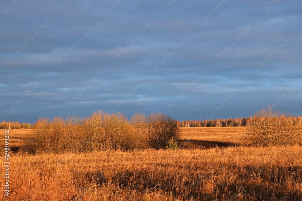 Beautiful autumn landscape: golden field, high gray-blue sky.