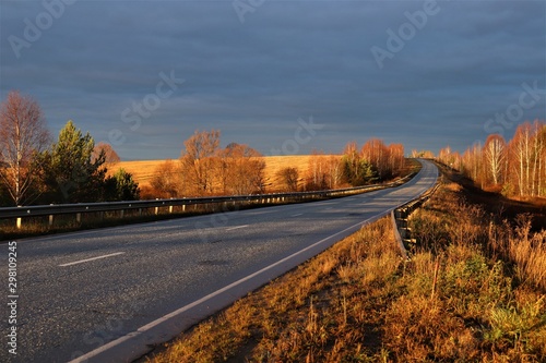 A highway leading into the distance, a golden field and a forest.