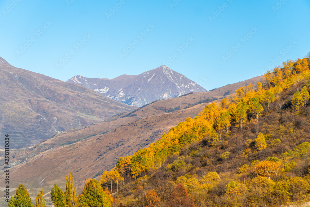 North Ossetia. Mountain peaks in the fall. Orange tree crowns. Falling foliage. North Ossetia. Mountain peaks in the fall. Orange tree crowns. Falling foliage.