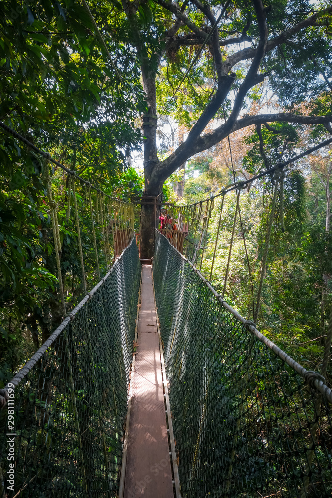 Suspension bridge, Taman Negara national park, Malaysia
