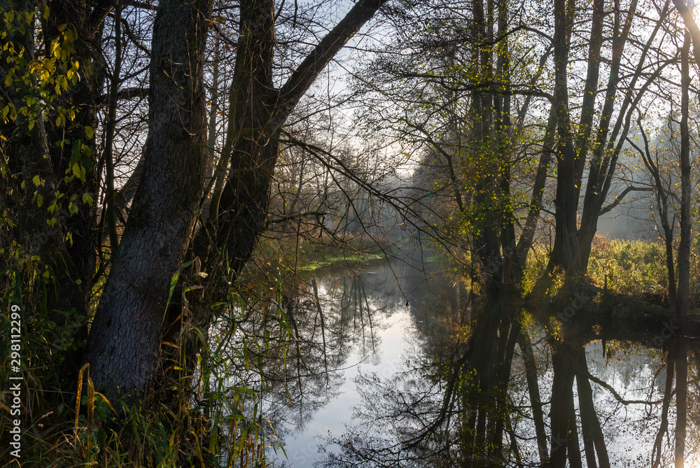 Złota Polska Jesień nad rzeką Supraśl, Podlasie, Polska