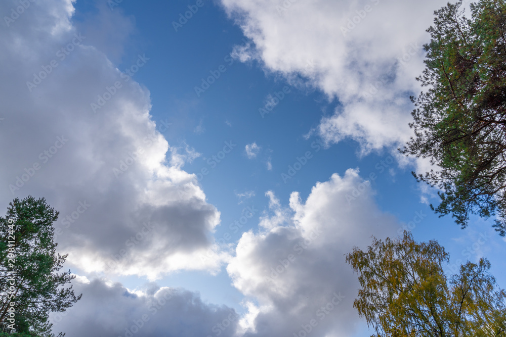 Scenery with white clouds, blue sky and autumn trees frame Scenery with white clouds, blue sky and autumn trees frame
